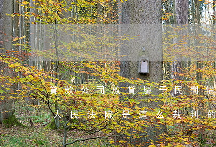 貸款公司放貸屬于民間借貸嗎？最高人民法院是這么裁判的